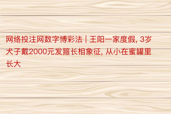 网络投注网数字博彩法 | 王阳一家度假, 3岁犬子戴2000元发箍长相象征, 从小在蜜罐里长大