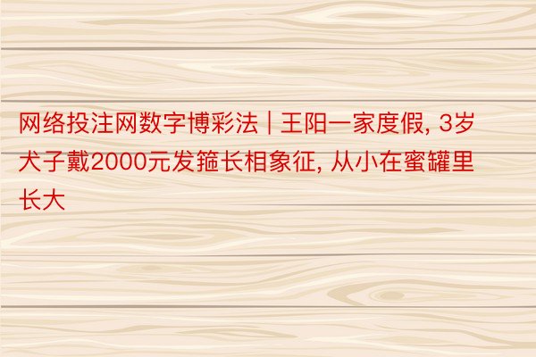 网络投注网数字博彩法 | 王阳一家度假， 3岁犬子戴2000元发箍长相象征， 从小在蜜罐里长大