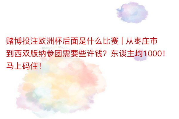 赌博投注欧洲杯后面是什么比赛 | 从枣庄市到西双版纳参团需要些许钱？东谈主均1000！马上码住！