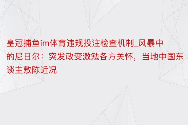 皇冠捕鱼im体育违规投注检查机制_风暴中的尼日尔：突发政变激勉各方关怀，当地中国东谈主敷陈近况