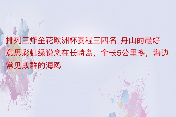 排列三炸金花欧洲杯赛程三四名_舟山的最好意思彩虹绿说念在长峙岛，全长5公里多，海边常见成群的海鸥