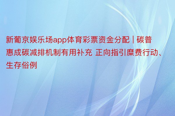 新葡京娱乐场app体育彩票资金分配 | 碳普惠成碳减排机制有