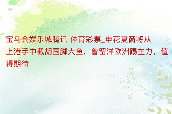 宝马会娱乐城腾讯 体育彩票_申花夏窗将从上港手中截胡国脚大鱼，曾留洋欧洲踢主力，值得期待