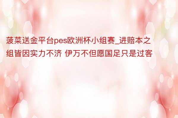 菠菜送金平台pes欧洲杯小组赛_进赔本之组皆因实力不济 伊万不但愿国足只是过客