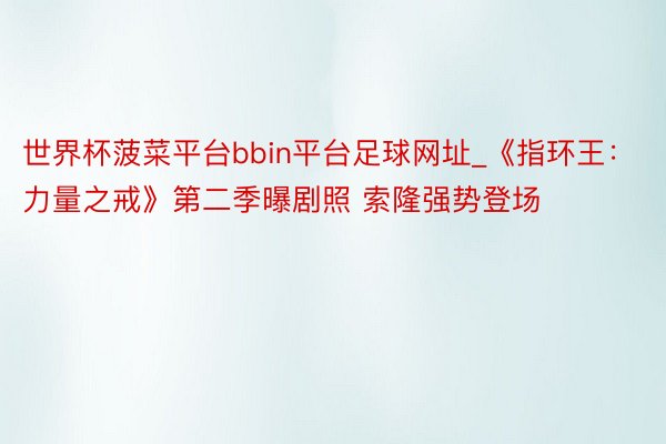 世界杯菠菜平台bbin平台足球网址_《指环王：力量之戒》第二